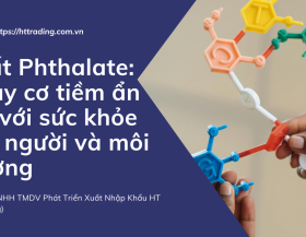 Chất Phthalate: Nguy Cơ Tiềm Ẩn Đối Với Sức Khỏe Con Người Và Môi Trường